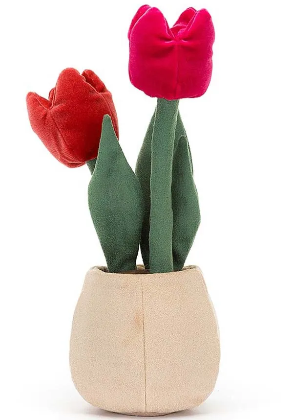 Amuseable Tulip | POT