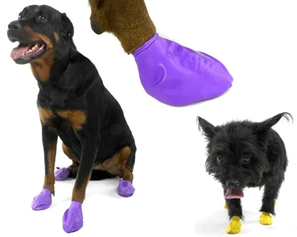 PawZ Dog Boots