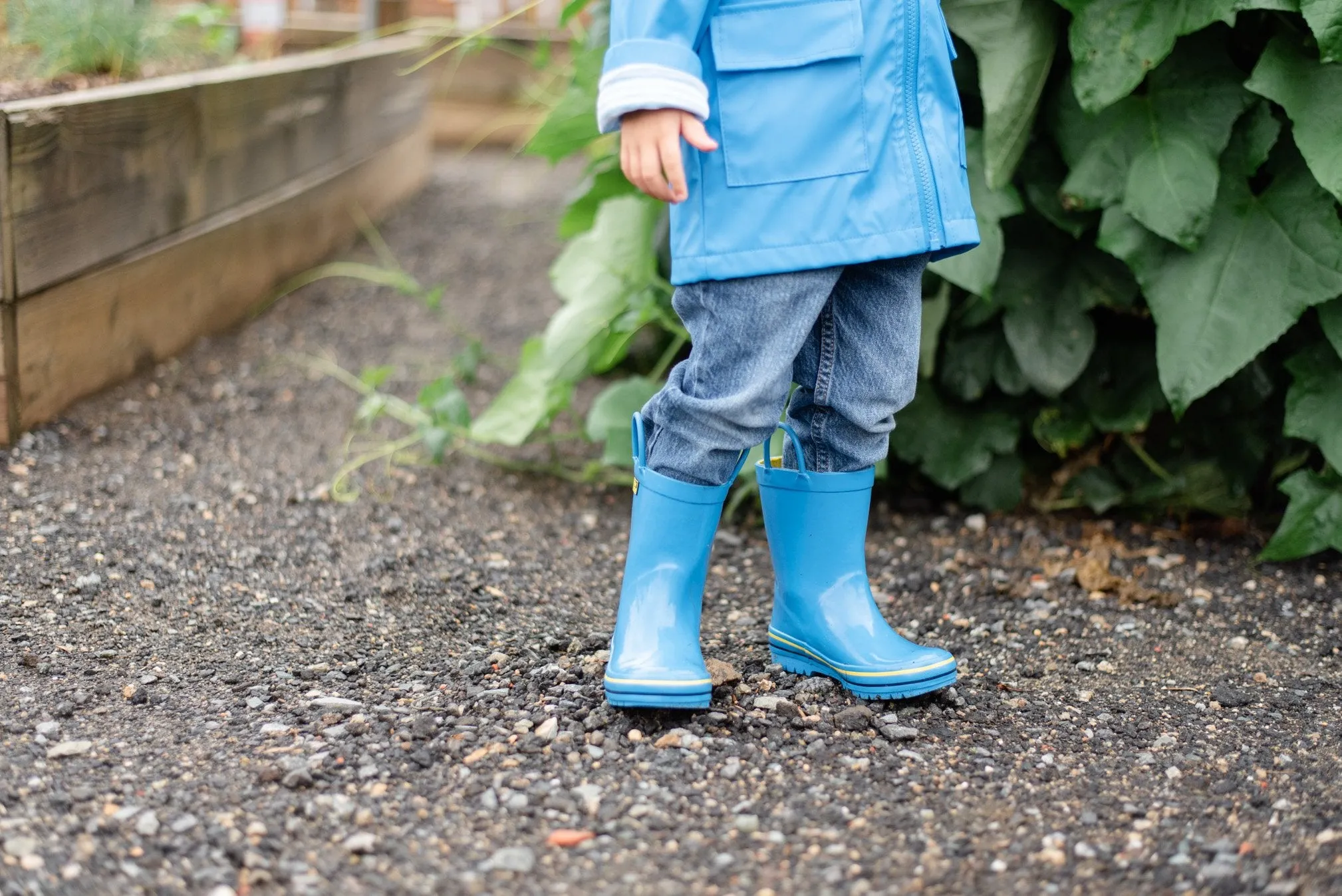 Solid Blue Rain Boot